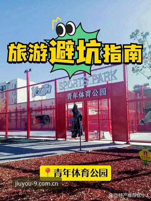 九游体育手机入口安全吗？三个避坑细节决定你的使用体验